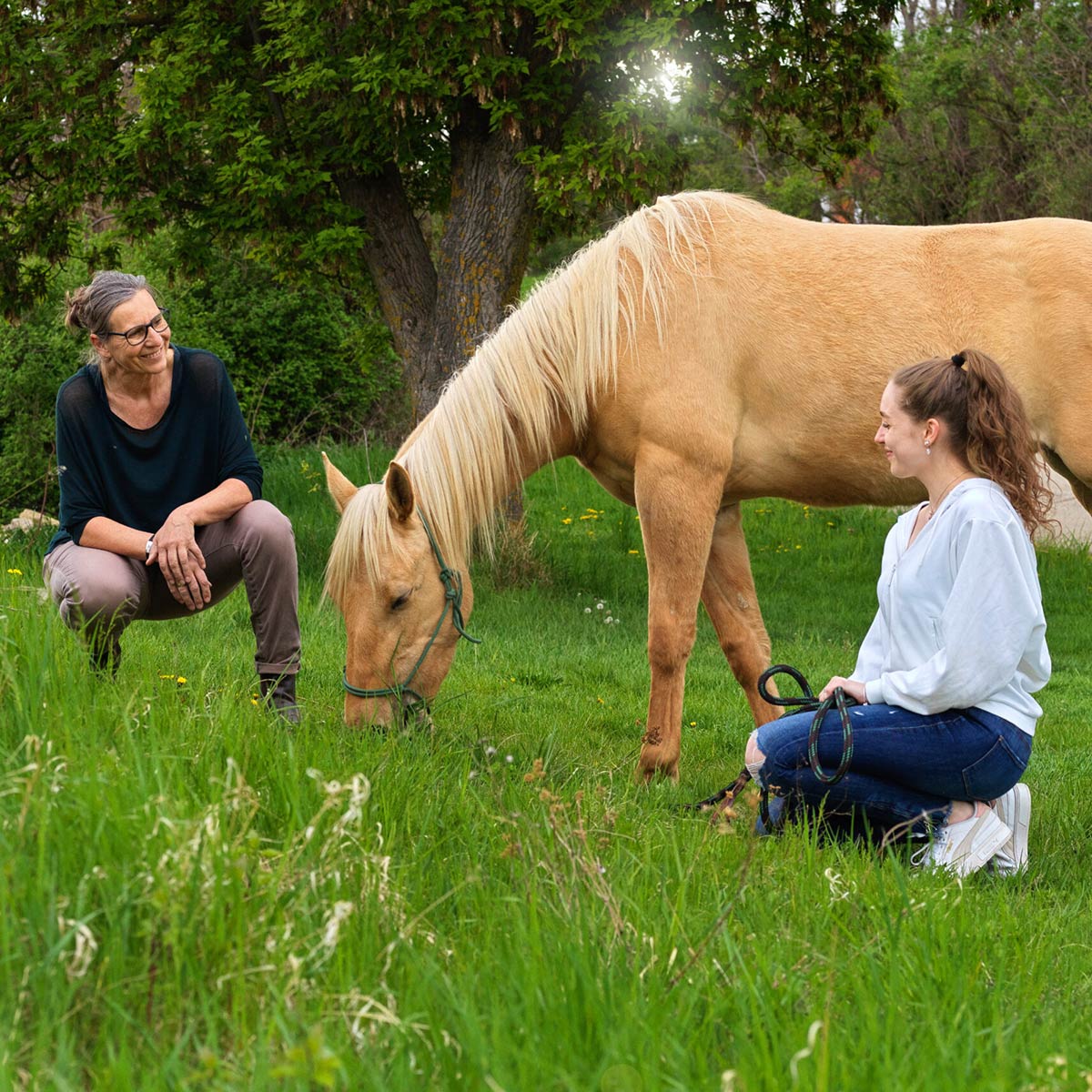 Persoenlichkeitsentfaltung-mit-Pferd_1200x1200