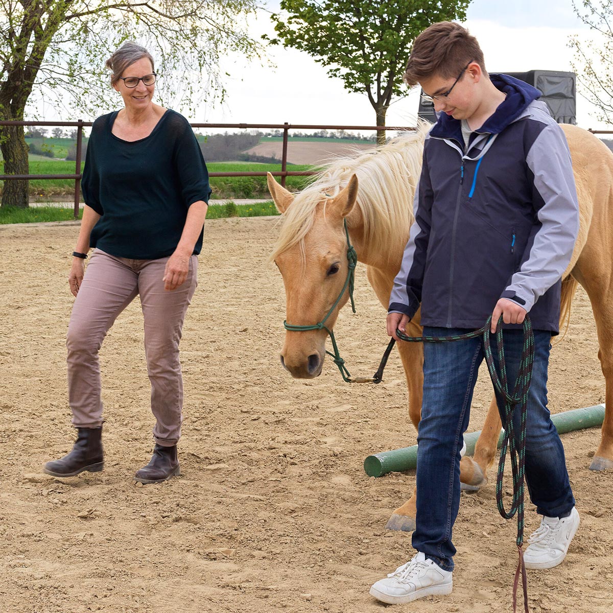 Pferdegestuetzes-Coaching-im-Raum-Wien_1200x1200