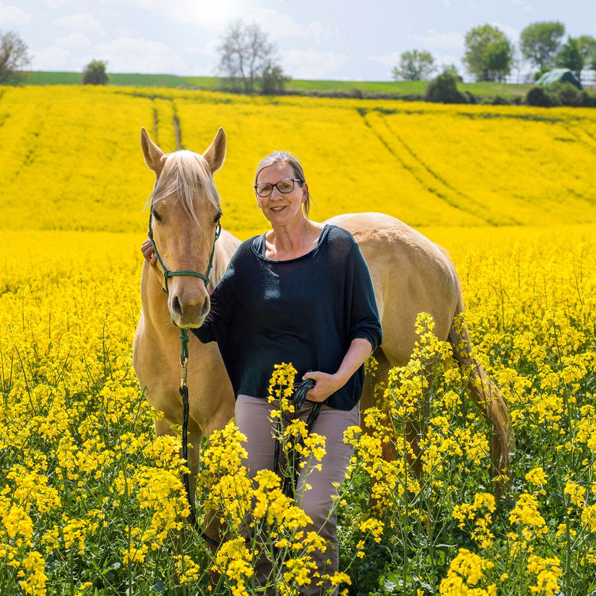coaching-outdoor-Pferd-im-Raum-Korneuburg-scaled_1200x1200
